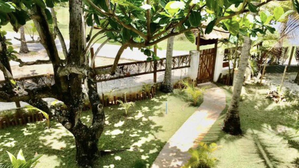 Paradise Beach House Imbassai Εξωτερικό φωτογραφία